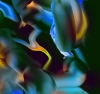 Seasonal Flux