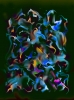 Seasonal Flux