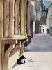 Alley Cat