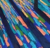 Beyond the Shimmering Forest