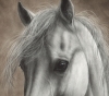 Silent Soul