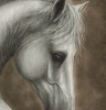 Silent Elegance