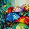 Colors in the Rain