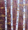 Echoes of an Amber Glade