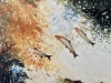 Salmon Jumping