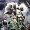 Seed Heads In The Sunlight