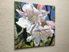Rododendron Blossom