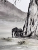 Elephants under the Baobab 