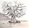 Elephants under the Baobab 