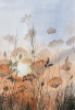DAWN SCENE 