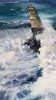 Silent Ocean Guardian