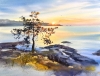 Golden Ladoga