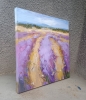 Lavender time