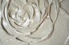 Little Greige Rose with a Touch of Silver I. 