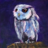 Little Owl 2