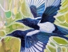 One for Sorrow, Two for Joy…