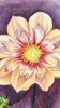 Peony, detailed flower study