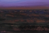 Purple Mist