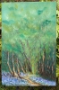 Bluebell Wanderings