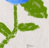 Blue Pansy Hanzi