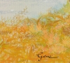 Seasonal Change