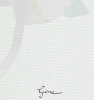 White Rose Hanzi