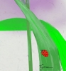 WIld Onion Blossoms Kanji