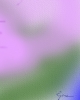 Abstract XLI