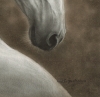Silent Elegance