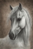 Silent Soul