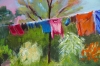 Wash Day