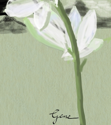 Star of Bethlehem Kanji