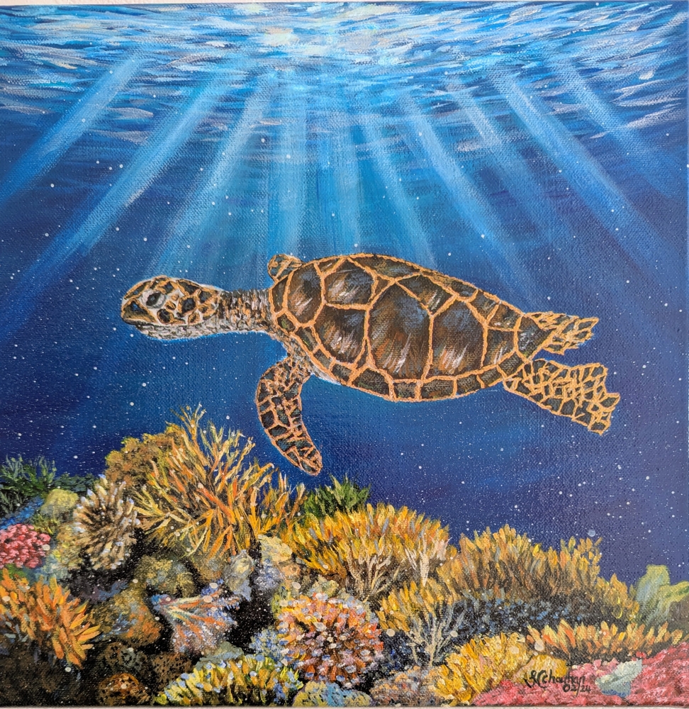 Underwater Sea Turtle 