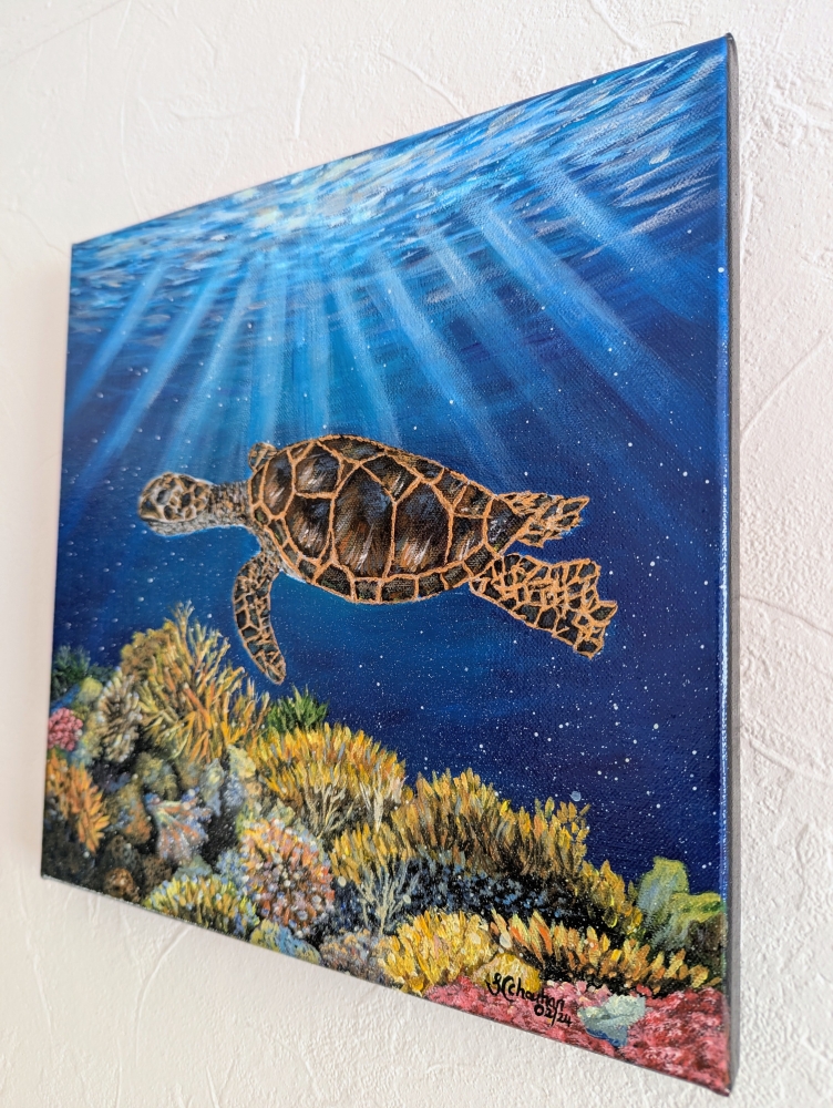 Underwater Sea Turtle 