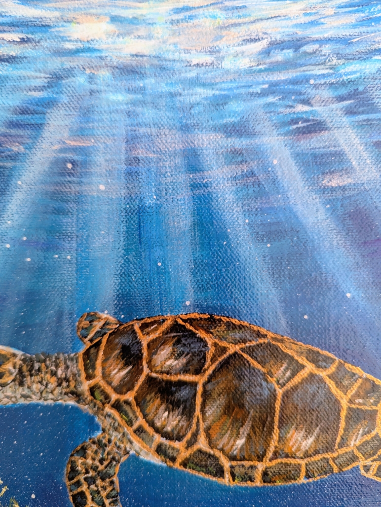 Underwater Sea Turtle 