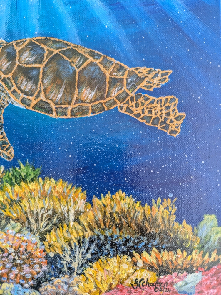 Underwater Sea Turtle 