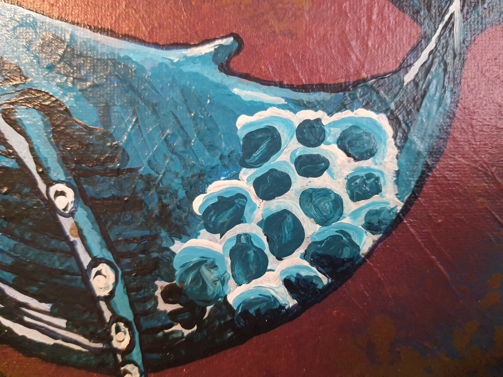 Sky Whale