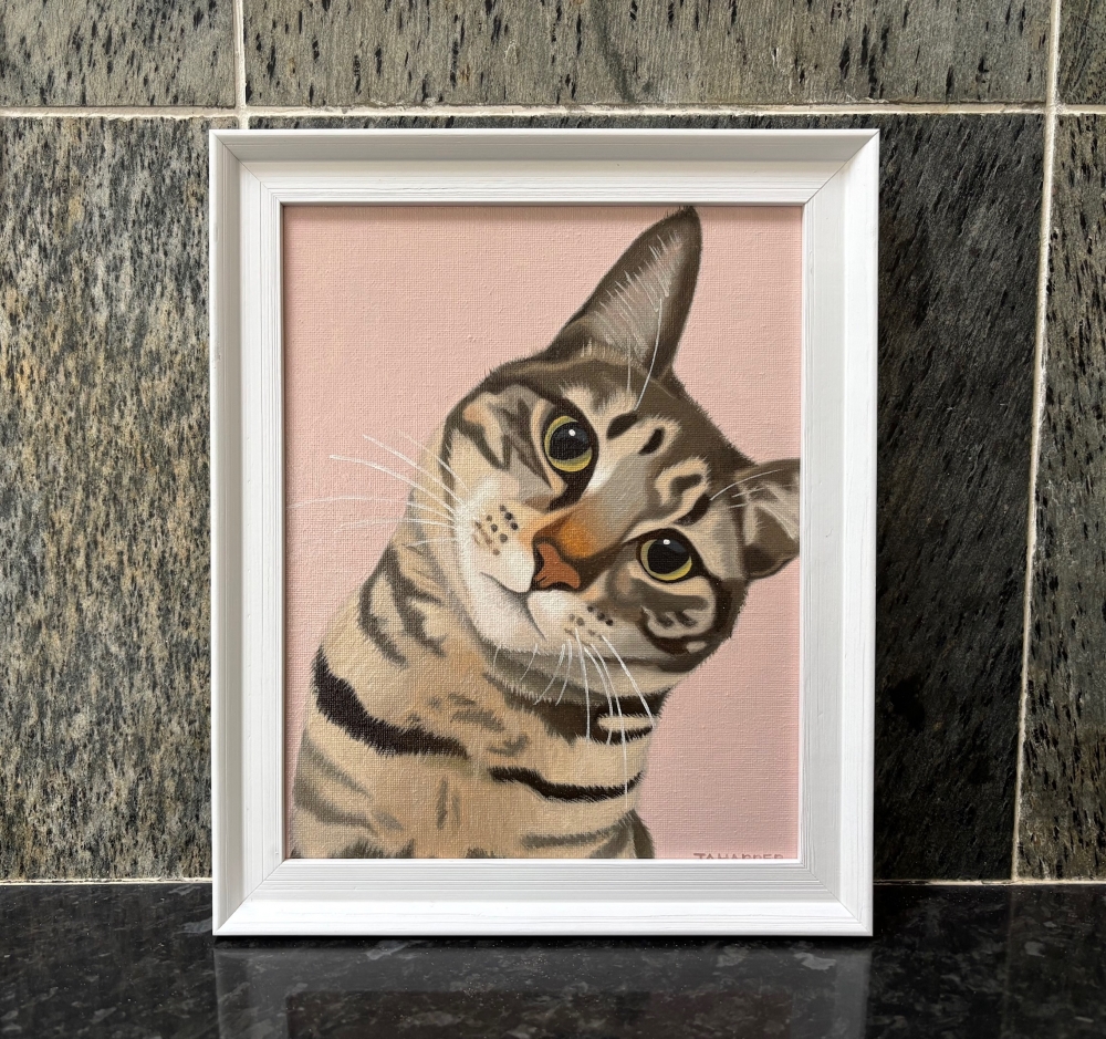 Doolally Cat