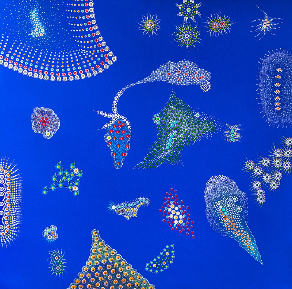 Great Barrier Reef Queensland Australia