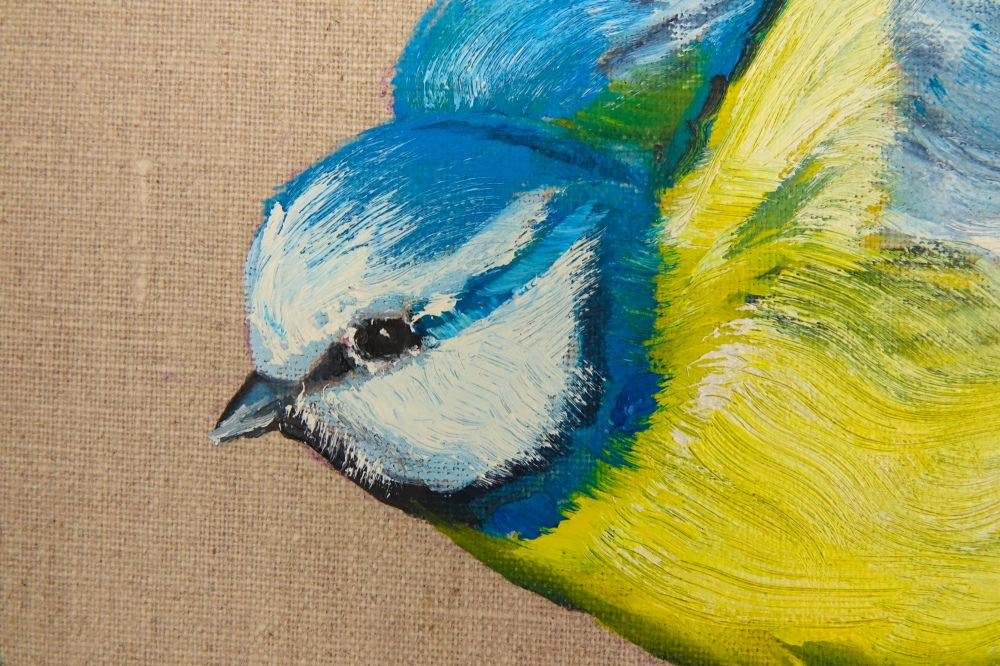 Blue Tit on the Wing