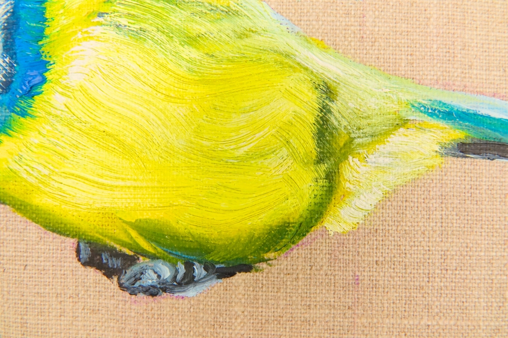 Blue Tit on the Wing