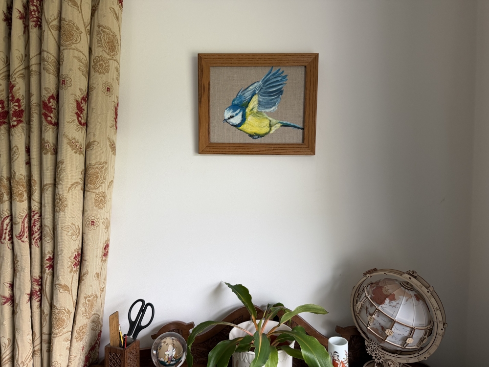 Blue Tit on the Wing