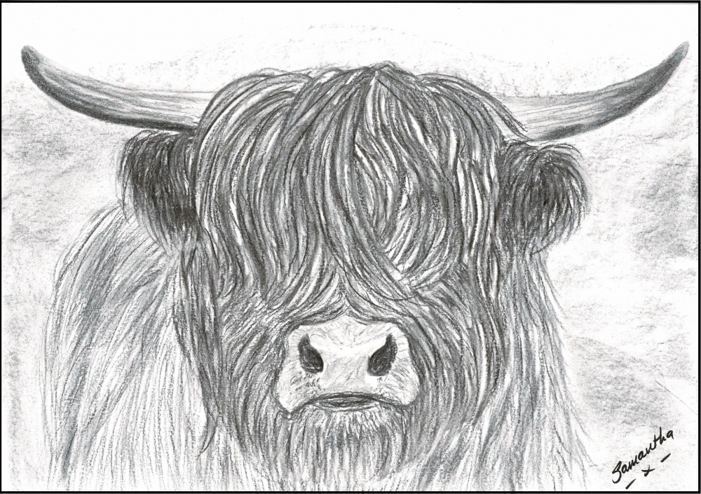 Highland cow print