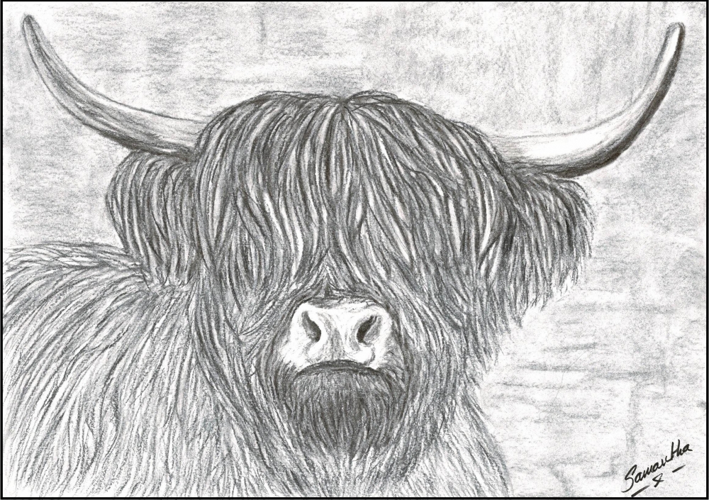 Highland cow print