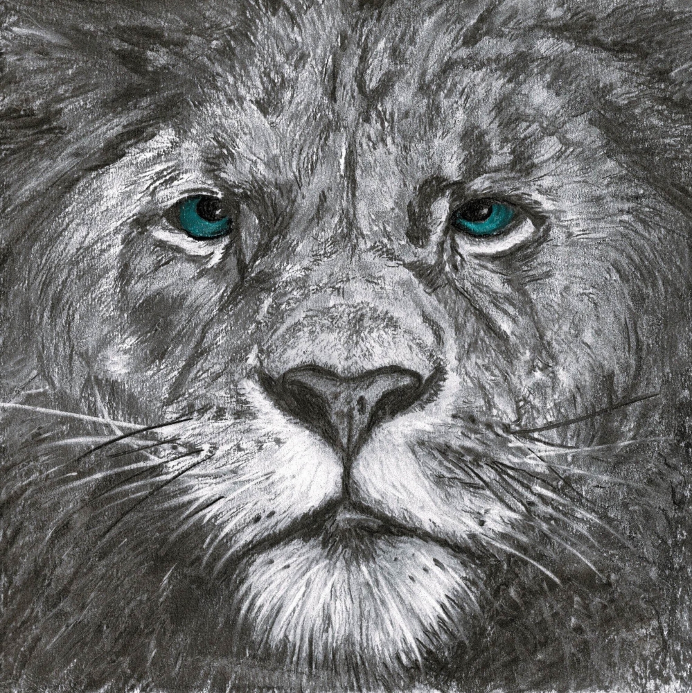 Lion King