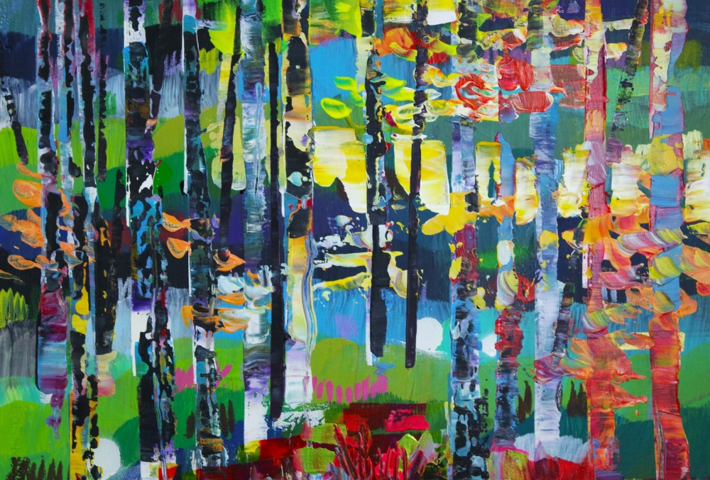 Colourful Woods Trees 674