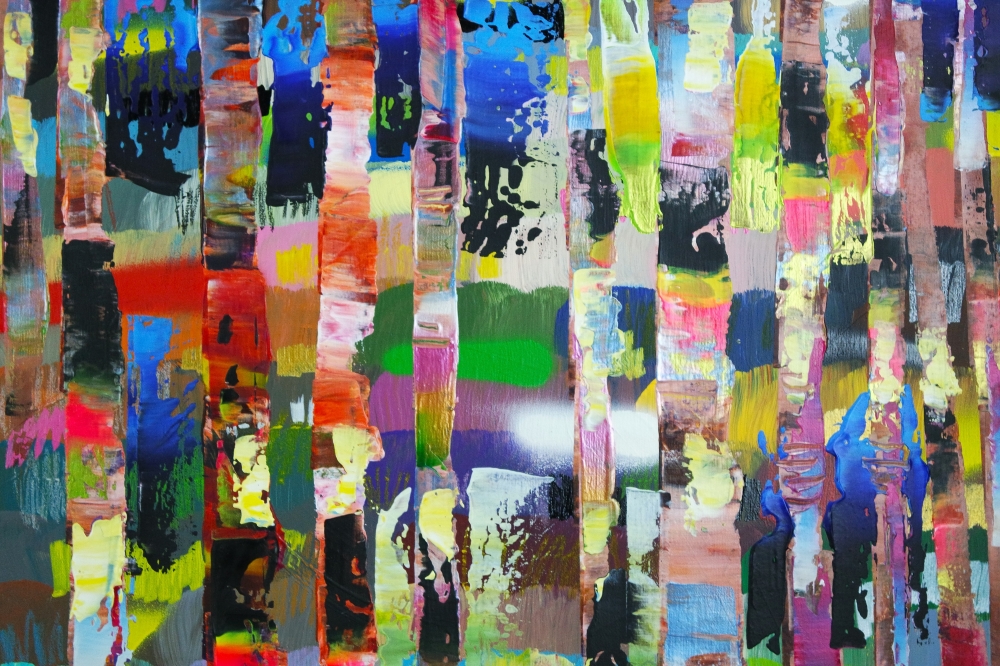 Colourful Woods Trees 681