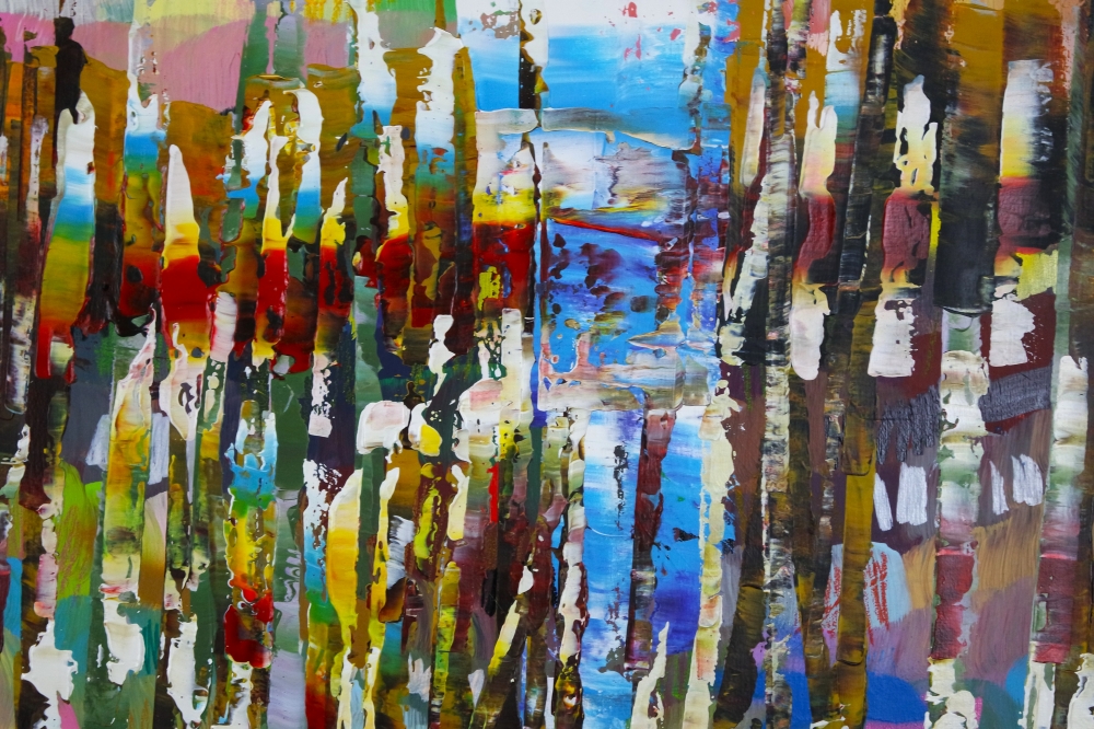 Colourful Woods Trees 688
