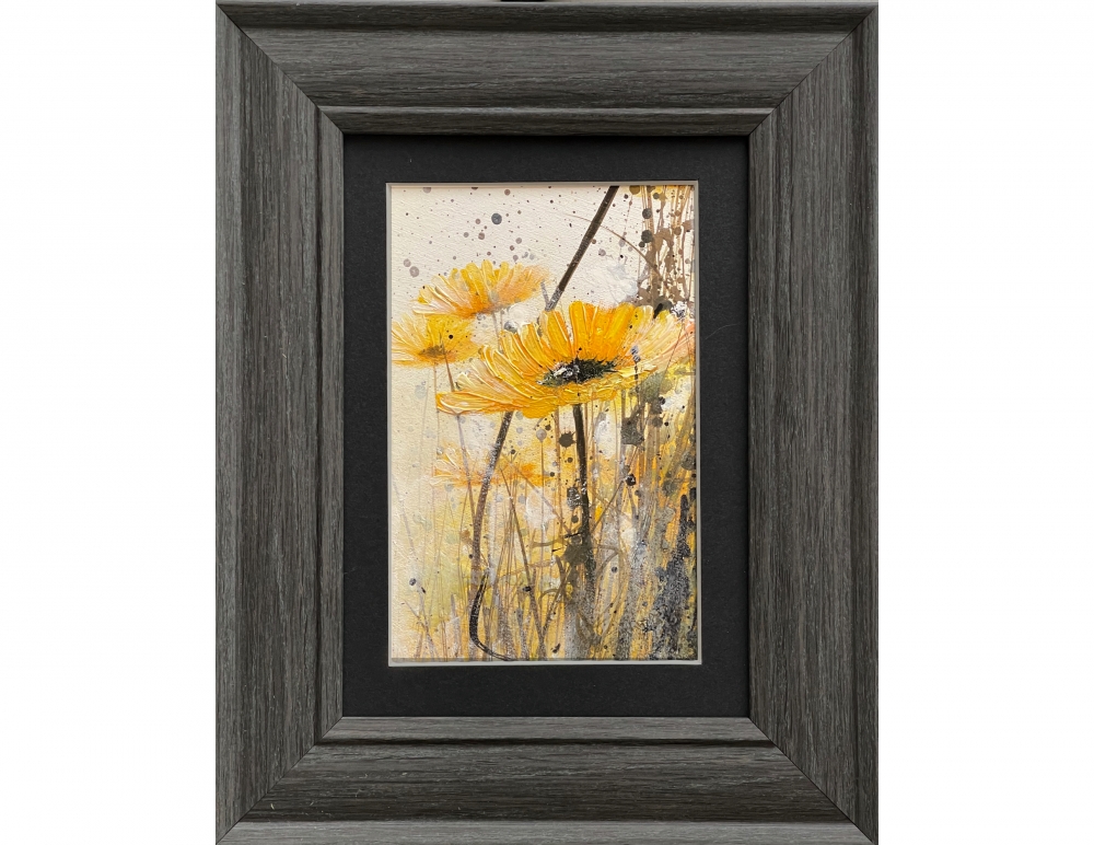 Framed Flowers and Light