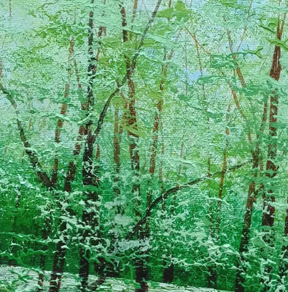 Forest Breathing, Shimmering Waters